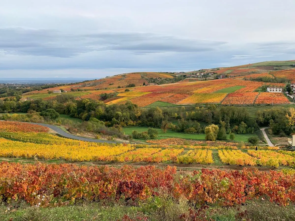 Chambres , Mere Veille Vaux-en-Beaujolais Homestay